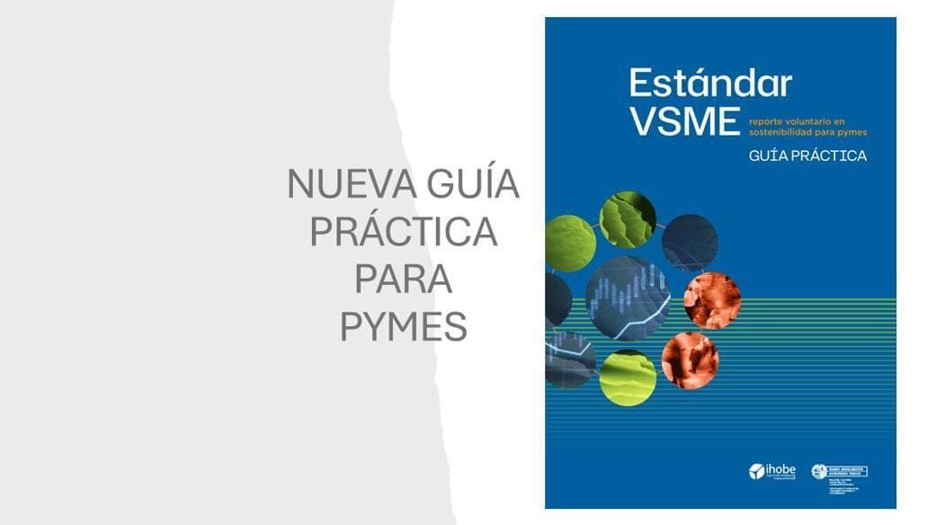 Portada de “Nueva guía práctica para PYMES” y “Estándar VSME”, con fondo azul y círculos de colores